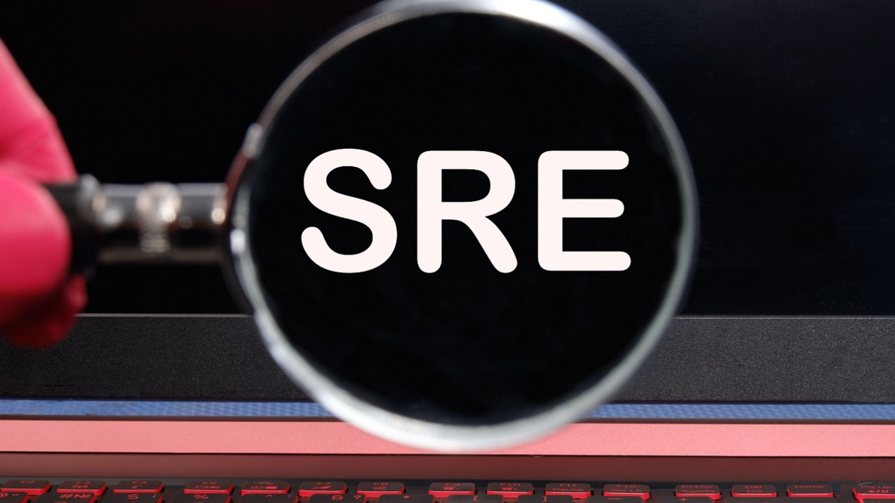 SRE under a magnifying glass