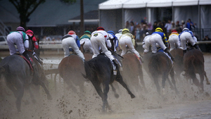 horse race
